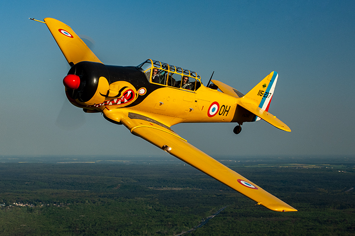T-6